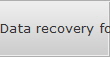Data recovery for Rapid City data